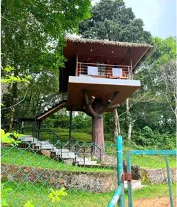 Premium A/C Tree House Room