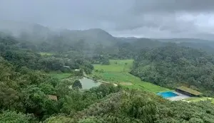 WAYANAD COORG PACKAGE   photo 3