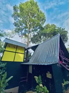 𝐓𝐑𝐈𝐀𝐍𝐆𝐋𝐄 𝐓𝐑𝐄𝐄 𝐍𝐄𝐒𝐓 ⛺