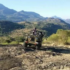 JEEP SAFARI   photo 4