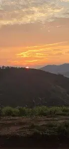 ANNMARIYA JEEP SAFARI VAGAMON 3hr   photo 4