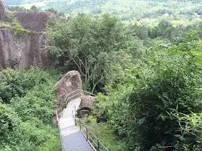 WAYANAD PACKAGE CALICUT PICK UP   photo 3