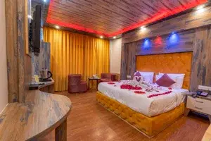 Deluxe room without balcony   photo 1