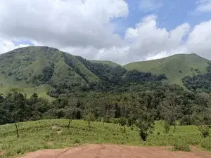 Full Day Tiger Reserve Jeep Safari   photo 4