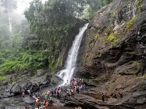 WAYANAD PACKAGE CALICUT PICK UP   photo 2