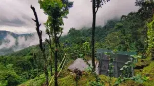 Wayanad - Aranamala Camp