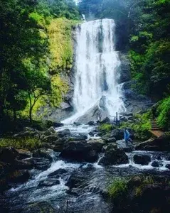Mysuru – Chikmagalur Package From Chennai By Train   photo 2