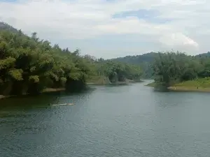 Jeep safari to  open forest  3-4 hours   photo 3