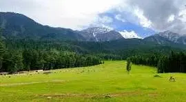 SRINAGAR_PAHALGAM_GULMARG(4 STAR)PER COUPLE   photo 3