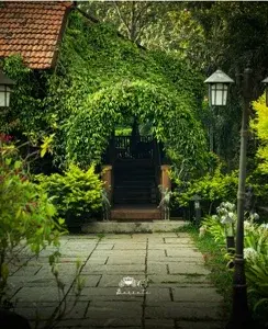 BARSATI RANCHES   photo 1