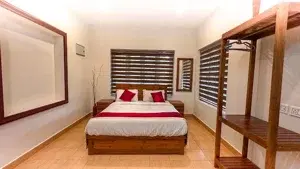 1 BHK VILLA WITH TEA PLANTATION VIEW   photo 4