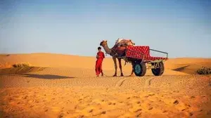 RAJASTHAN SPECIAL   photo 4