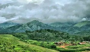 WAYANAD FAMILY PACKAGE CALICUT PICK UP   photo 1