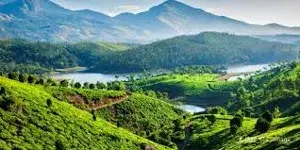 Munnar Thekkady Alleppey Tour Package   photo 3