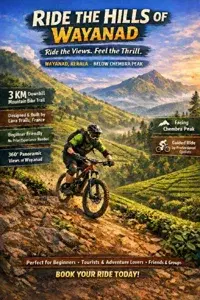 E-Bike Tea Estate Tour   photo 1