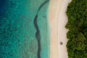 MALDIVES PACKAGES   photo 1