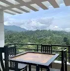 Traditional Wooden Cottage 9   photo 5